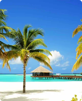 Maldives 